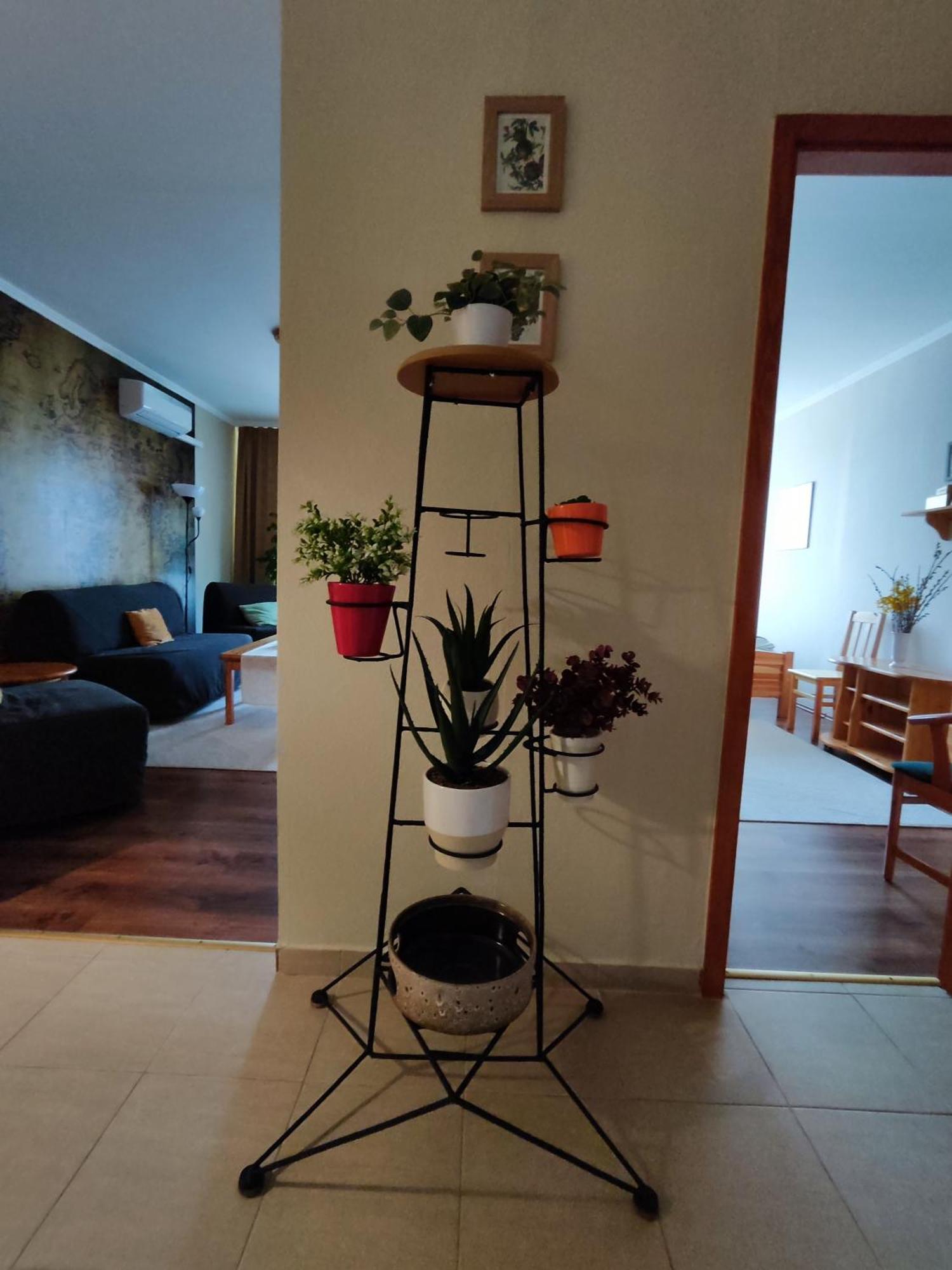 St. Benedek Apartmanlakas Apartment Mezokovesd ภายนอก รูปภาพ